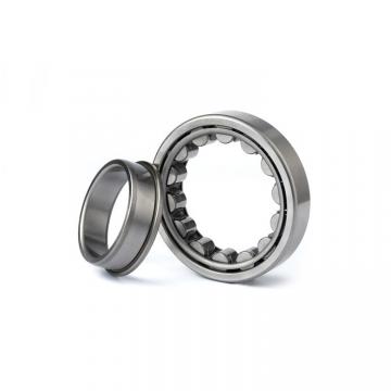 1.772 Inch | 45 Millimeter x 2.953 Inch | 75 Millimeter x 0.63 Inch | 16 Millimeter  NSK NU1009M  Cylindrical Roller Bearings