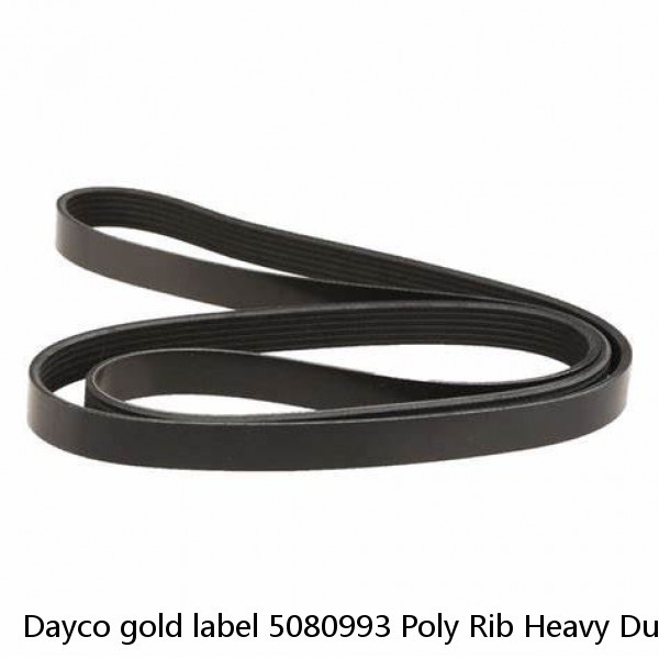 Dayco gold label 5080993 Poly Rib Heavy Duty Belt 8pk2520 ~ FORD F-150 5.4L