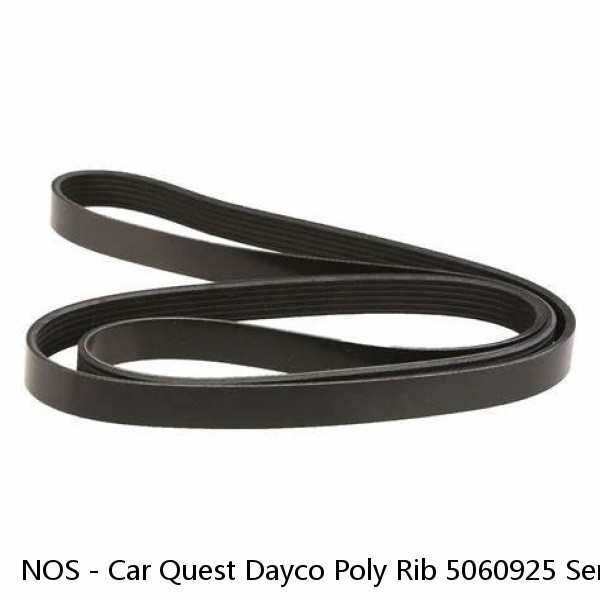 NOS - Car Quest Dayco Poly Rib 5060925 Serpentine Belt