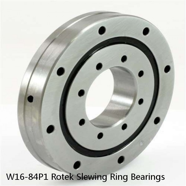 W16-84P1 Rotek Slewing Ring Bearings