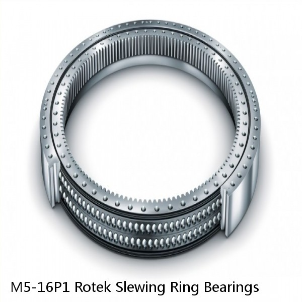 M5-16P1 Rotek Slewing Ring Bearings