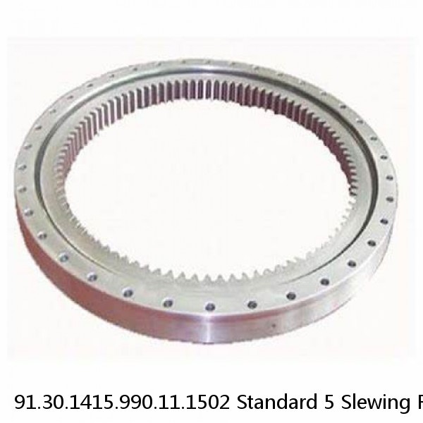 91.30.1415.990.11.1502 Standard 5 Slewing Ring Bearings