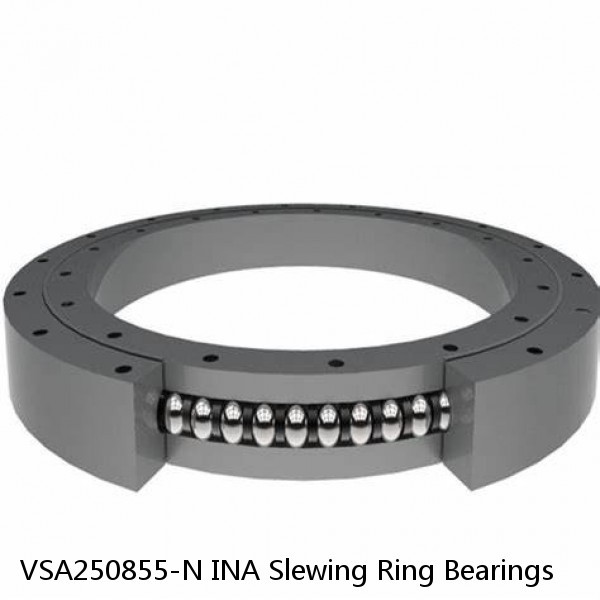 VSA250855-N INA Slewing Ring Bearings