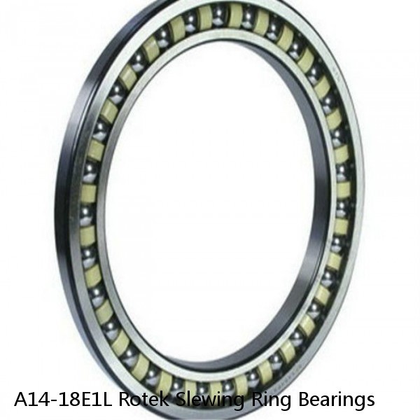 A14-18E1L Rotek Slewing Ring Bearings