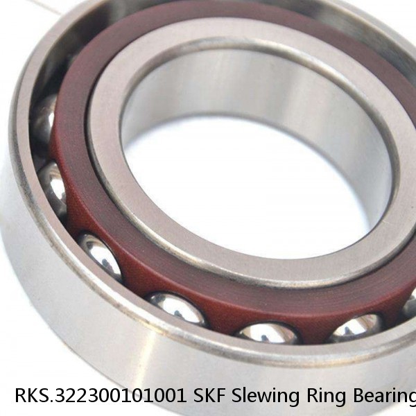 RKS.322300101001 SKF Slewing Ring Bearings