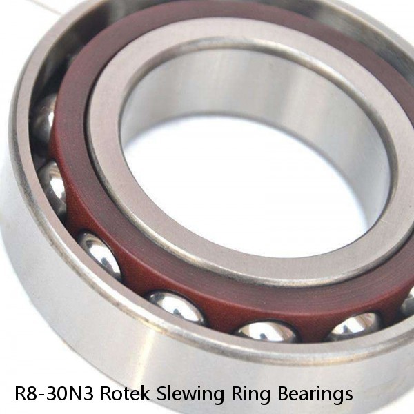 R8-30N3 Rotek Slewing Ring Bearings