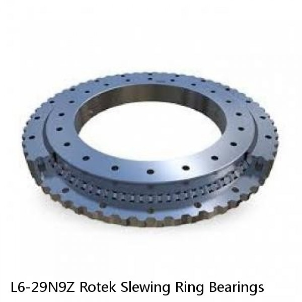 L6-29N9Z Rotek Slewing Ring Bearings