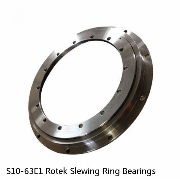 S10-63E1 Rotek Slewing Ring Bearings