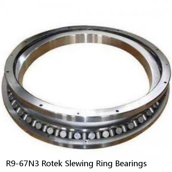 R9-67N3 Rotek Slewing Ring Bearings