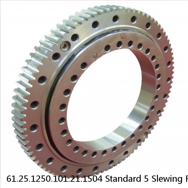 61.25.1250.101.21.1504 Standard 5 Slewing Ring Bearings