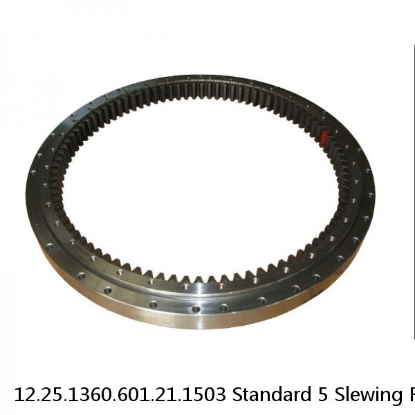 12.25.1360.601.21.1503 Standard 5 Slewing Ring Bearings