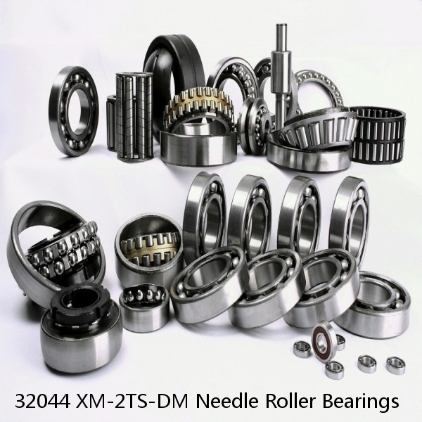 32044 XM-2TS-DM Needle Roller Bearings