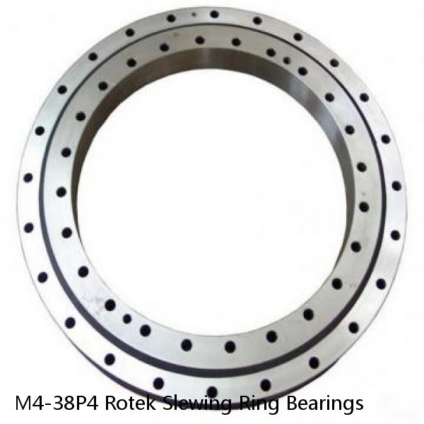 M4-38P4 Rotek Slewing Ring Bearings