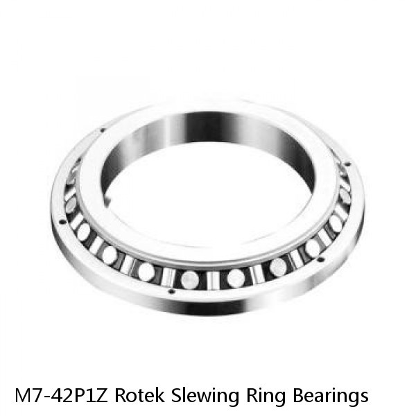 M7-42P1Z Rotek Slewing Ring Bearings