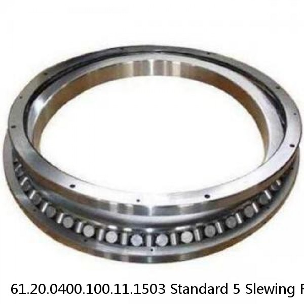 61.20.0400.100.11.1503 Standard 5 Slewing Ring Bearings