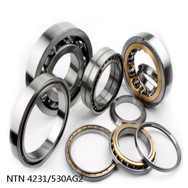 4231/530AG2 NTN Cylindrical Roller Bearing