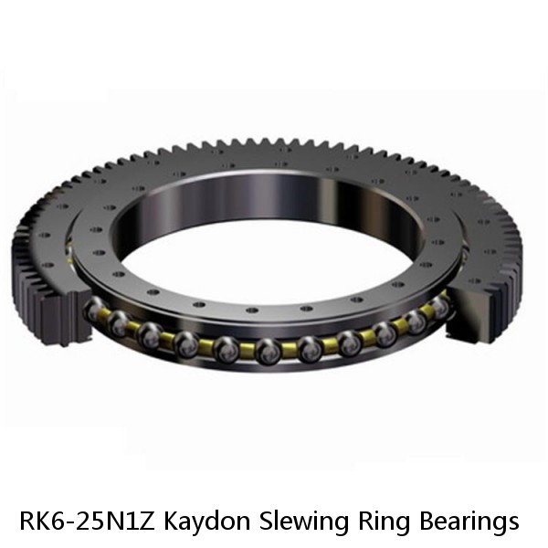 RK6-25N1Z Kaydon Slewing Ring Bearings