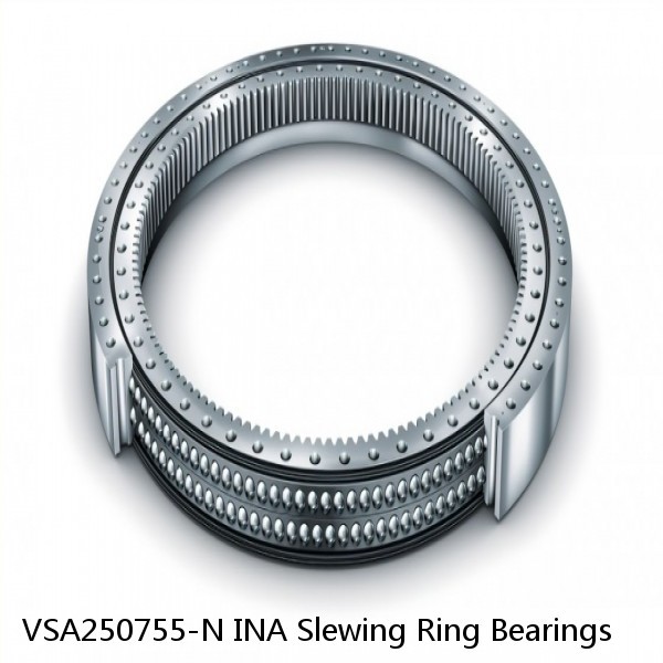 VSA250755-N INA Slewing Ring Bearings