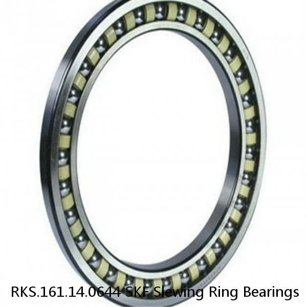 RKS.161.14.0644 SKF Slewing Ring Bearings