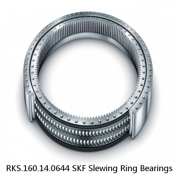 RKS.160.14.0644 SKF Slewing Ring Bearings