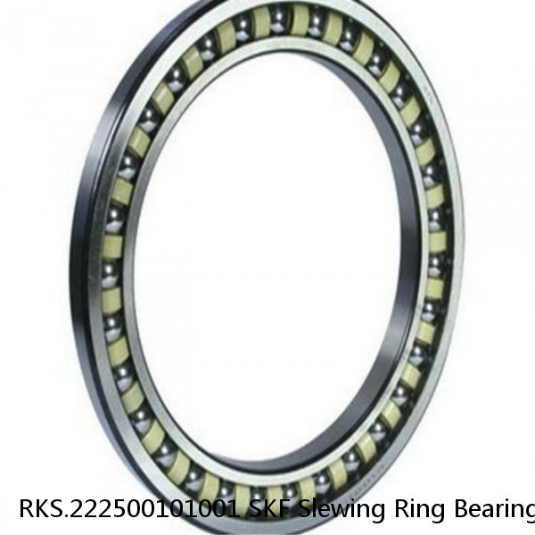 RKS.222500101001 SKF Slewing Ring Bearings