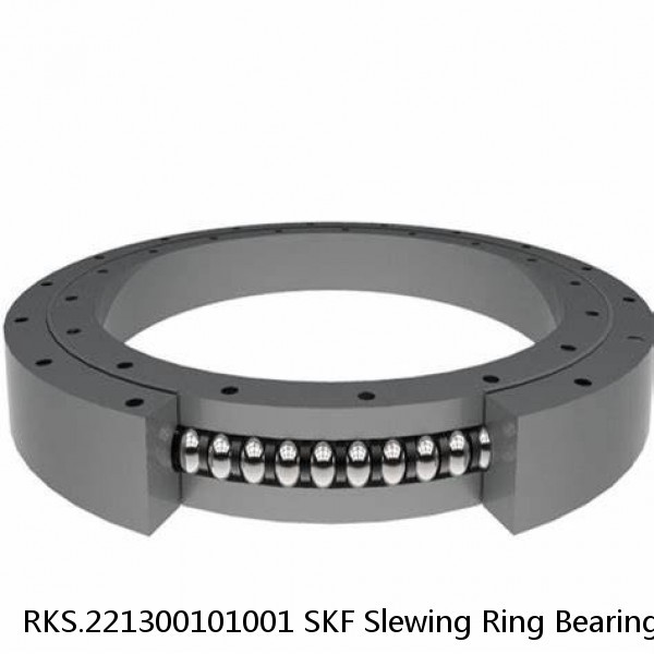 RKS.221300101001 SKF Slewing Ring Bearings