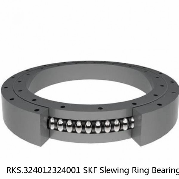 RKS.324012324001 SKF Slewing Ring Bearings