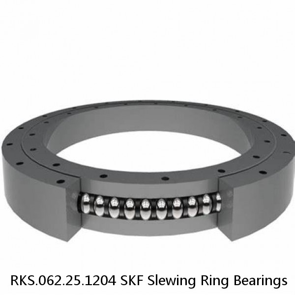 RKS.062.25.1204 SKF Slewing Ring Bearings