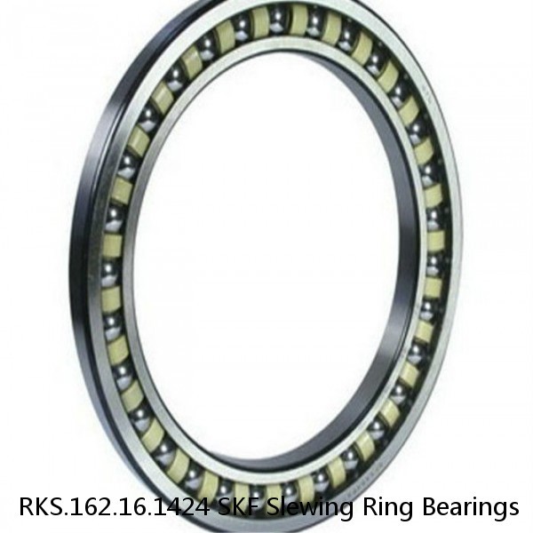 RKS.162.16.1424 SKF Slewing Ring Bearings