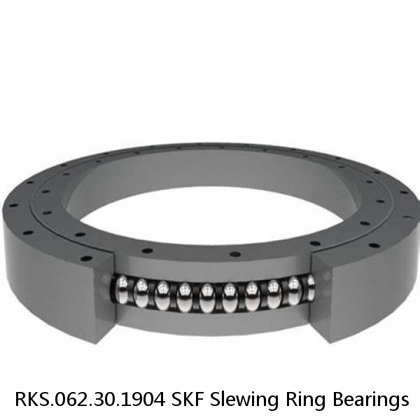 RKS.062.30.1904 SKF Slewing Ring Bearings