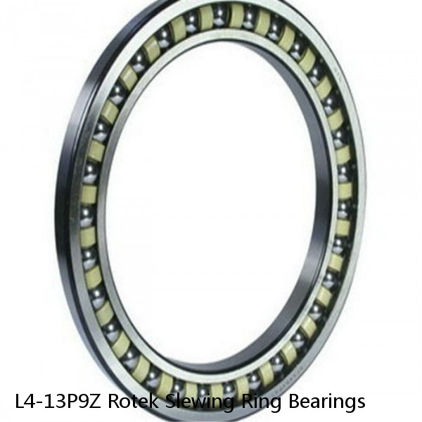 L4-13P9Z Rotek Slewing Ring Bearings