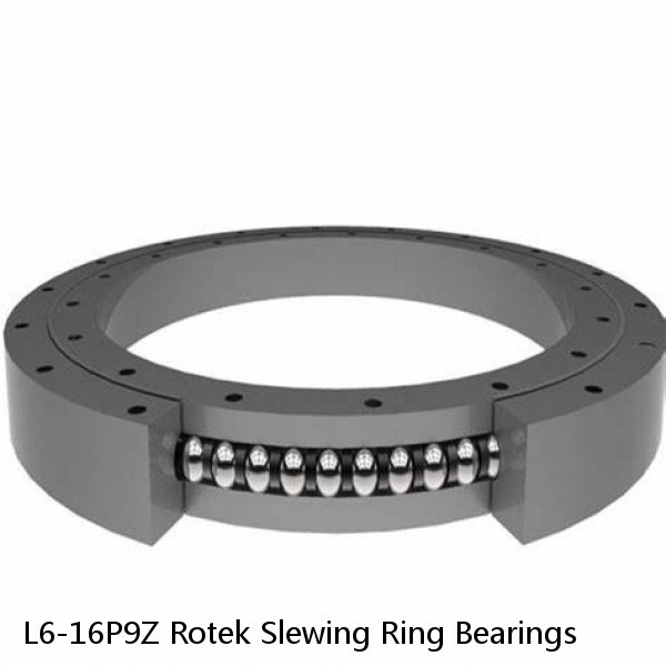 L6-16P9Z Rotek Slewing Ring Bearings