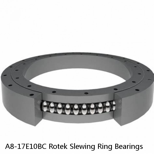 A8-17E10BC Rotek Slewing Ring Bearings