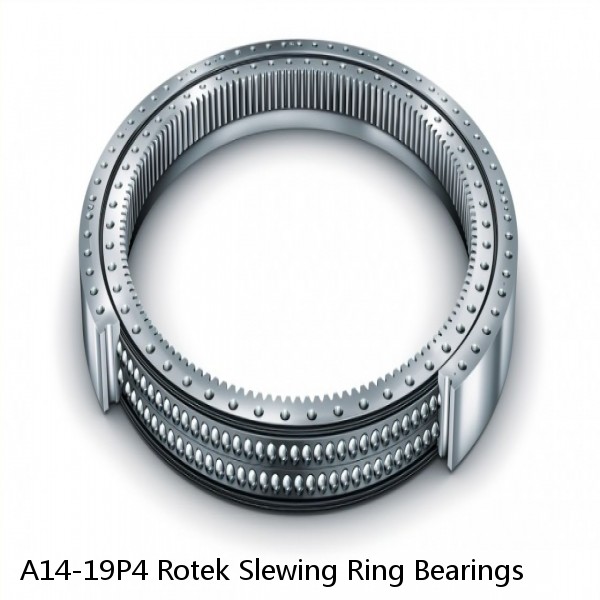 A14-19P4 Rotek Slewing Ring Bearings