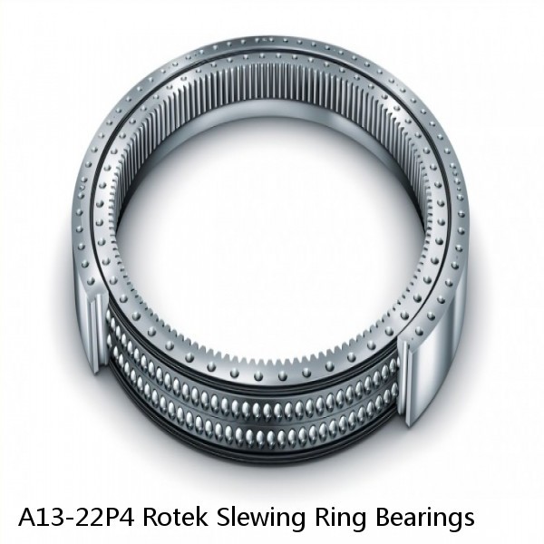 A13-22P4 Rotek Slewing Ring Bearings