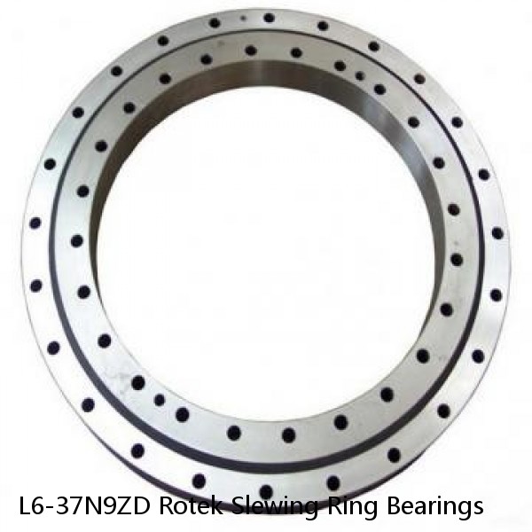 L6-37N9ZD Rotek Slewing Ring Bearings