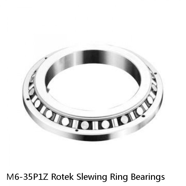 M6-35P1Z Rotek Slewing Ring Bearings