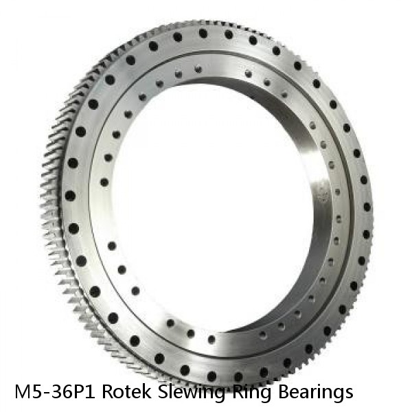 M5-36P1 Rotek Slewing Ring Bearings