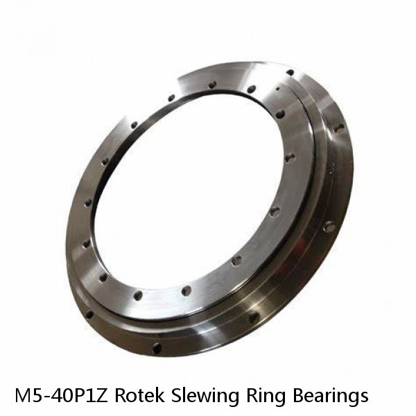 M5-40P1Z Rotek Slewing Ring Bearings