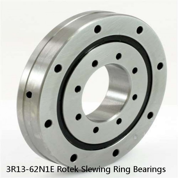 3R13-62N1E Rotek Slewing Ring Bearings