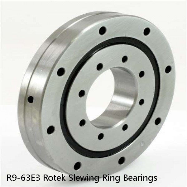 R9-63E3 Rotek Slewing Ring Bearings