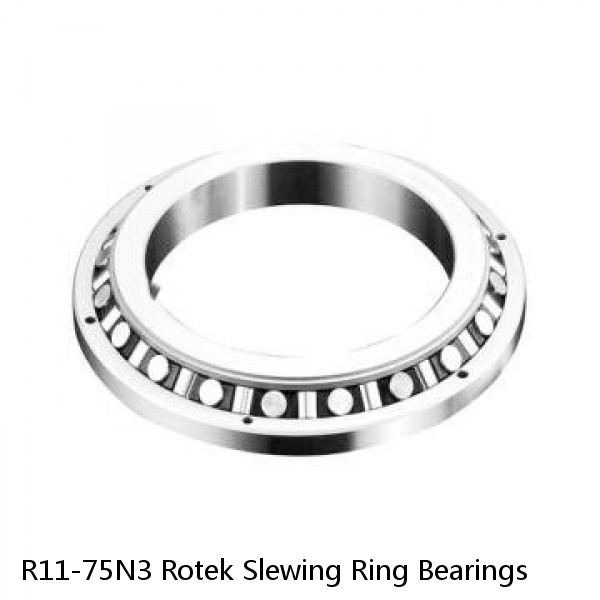 R11-75N3 Rotek Slewing Ring Bearings