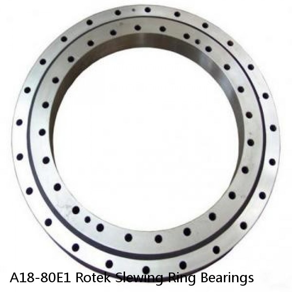 A18-80E1 Rotek Slewing Ring Bearings