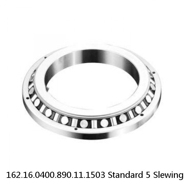 162.16.0400.890.11.1503 Standard 5 Slewing Ring Bearings