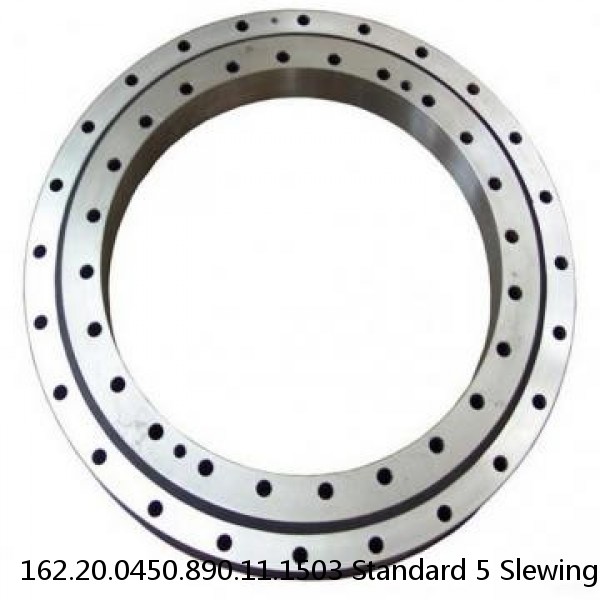 162.20.0450.890.11.1503 Standard 5 Slewing Ring Bearings