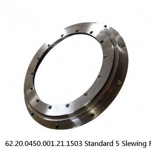 62.20.0450.001.21.1503 Standard 5 Slewing Ring Bearings