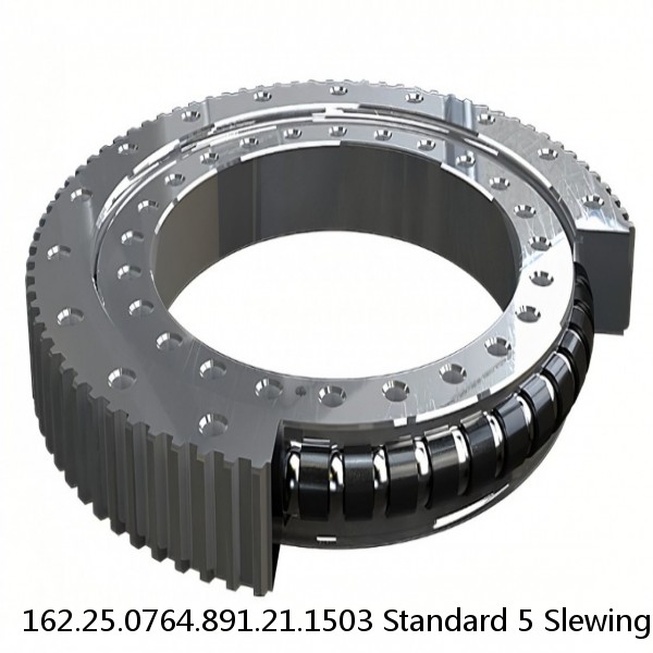 162.25.0764.891.21.1503 Standard 5 Slewing Ring Bearings