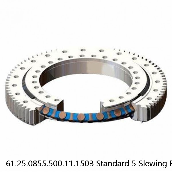 61.25.0855.500.11.1503 Standard 5 Slewing Ring Bearings