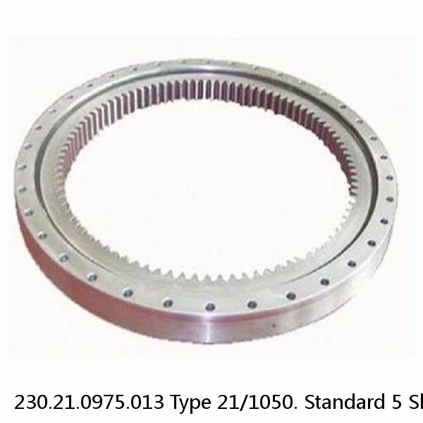 230.21.0975.013 Type 21/1050. Standard 5 Slewing Ring Bearings