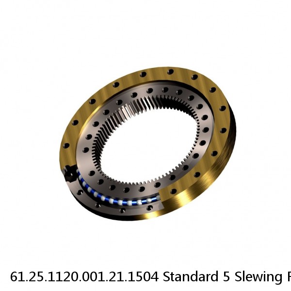 61.25.1120.001.21.1504 Standard 5 Slewing Ring Bearings